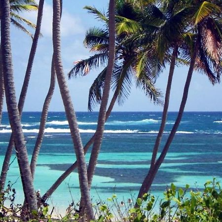 Hamo Cosy Piscine Proche Plage Sainte-Anne Bagian luar foto