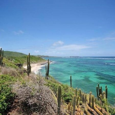 Hamo Cosy Piscine Proche Plage Sainte-Anne Bagian luar foto