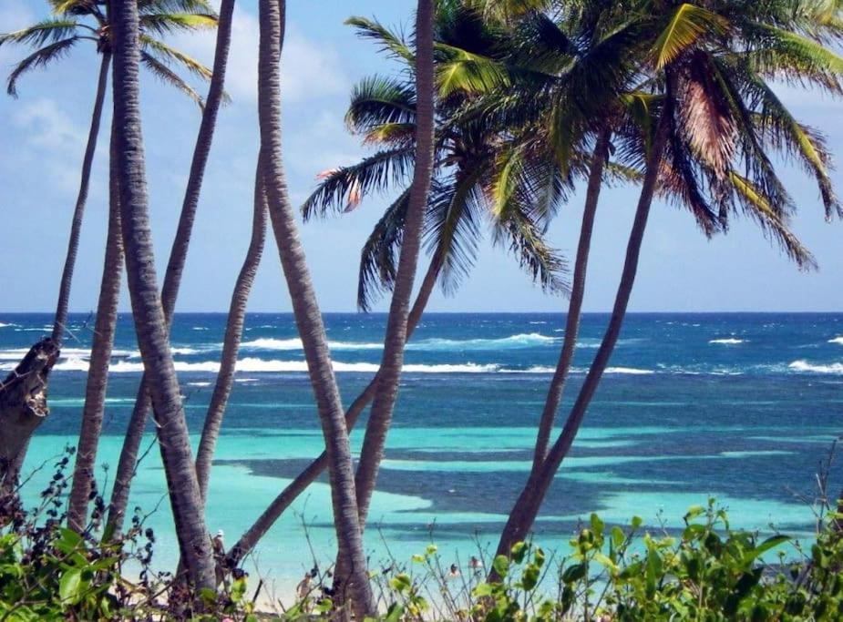Hamo Cosy Piscine Proche Plage Sainte-Anne Bagian luar foto