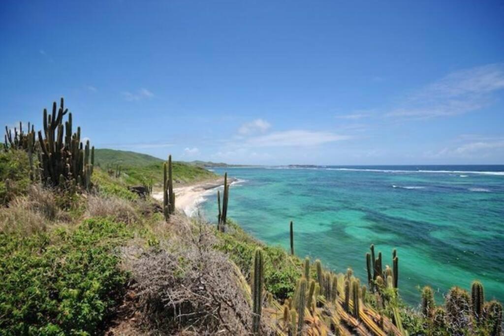 Hamo Cosy Piscine Proche Plage Sainte-Anne Bagian luar foto